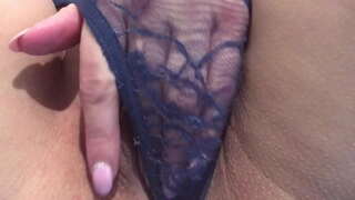 ���नको बिल्ली आवश्यक कुखुरा भित्र । नजिक-अप